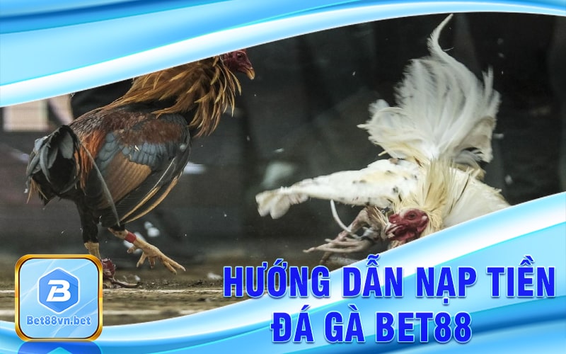 Hướng dẫn nạp tiền đá gà Bet88