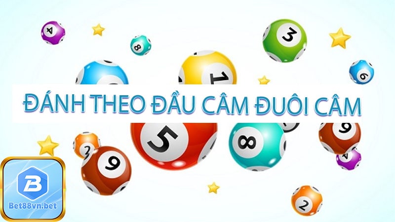 đánh theo đầu câm đuôi câm